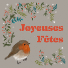 Joyeuses Fêtes avec un Rouge-gorge en Fête